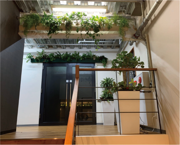 キスケ株式会社